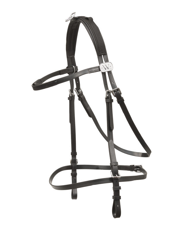 Wahlsten Economy bride